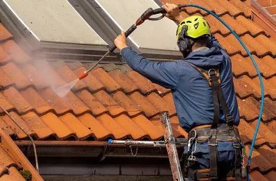 Démoussage et hydrofuge de toiture à Ploumilliau